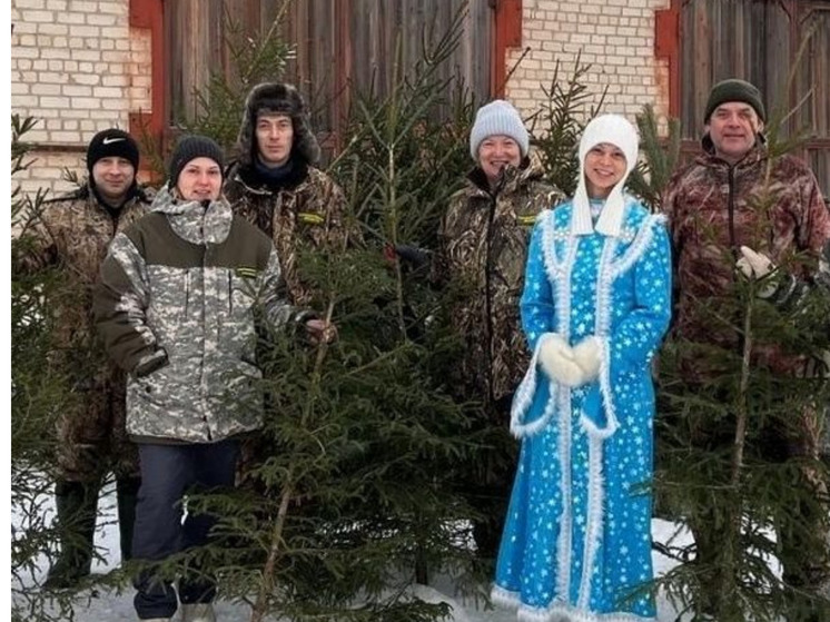 Из Плесецка на Донбасс отправили 63 новогодние ели