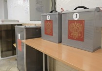 В Свердловской области Центр общественного наблюдения начал готовить наблюдателей для президентских выборов 2024 года