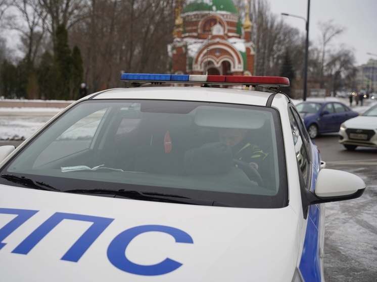 Липецкие автоинспекторы помогли водителю, оставшемуся без бензина в снежном плену