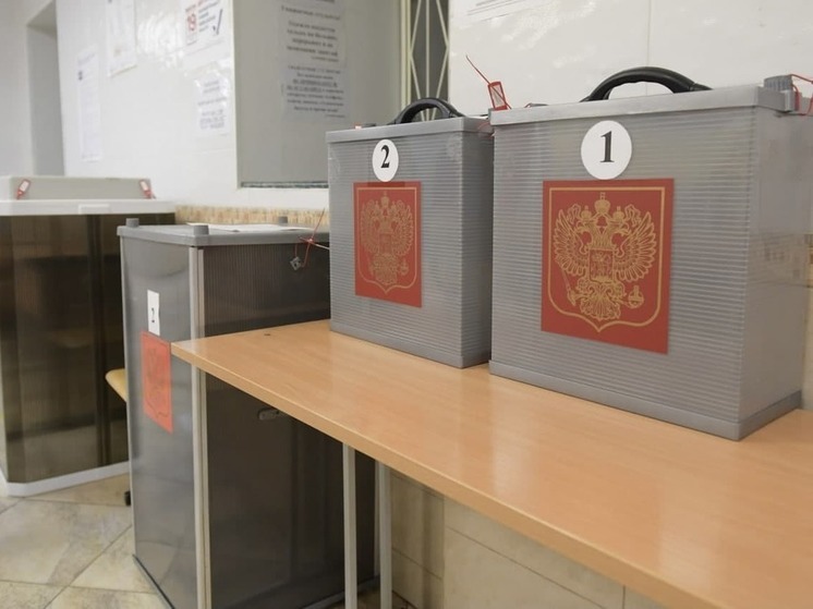 8 тысяч наблюдателей подготовят в Свердловской области для президентских выборов