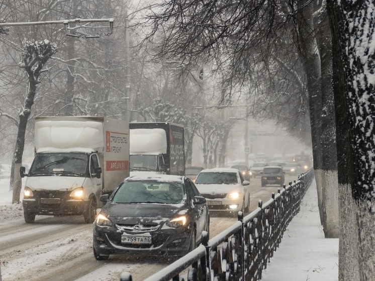 С надземного перехода у автовокзала в Рязани сошла «снежная лавина»