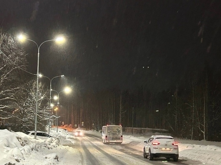 Более километра улицы в Петрозаводске осветили новые фонари