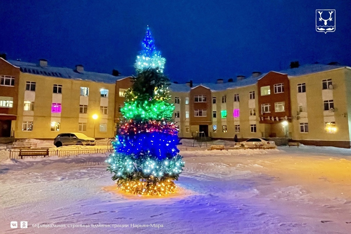 В Нарьян-Маре наступила полярная ночь - МК НАО