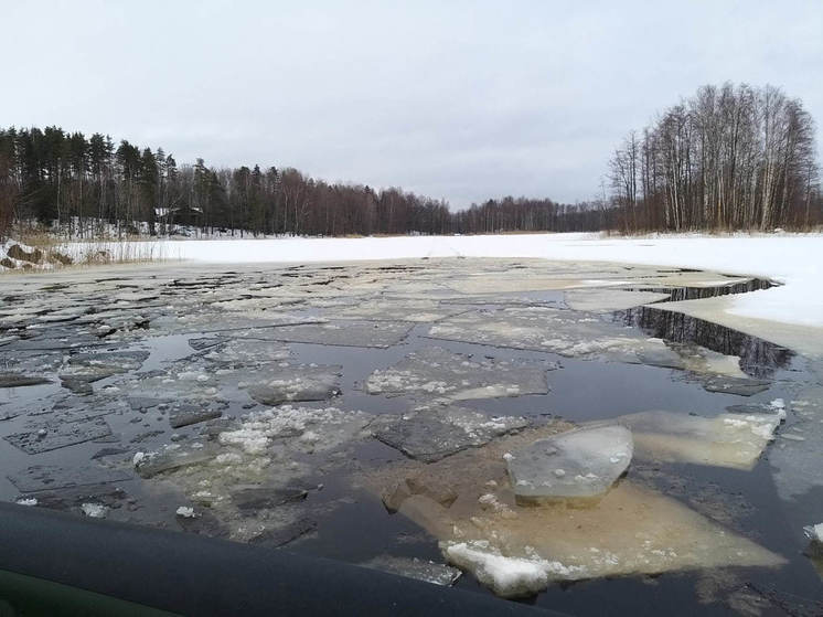 Ленинградцы пожаловались на подтопление домов и дороги в Отрадном и СНТ «Керамик»