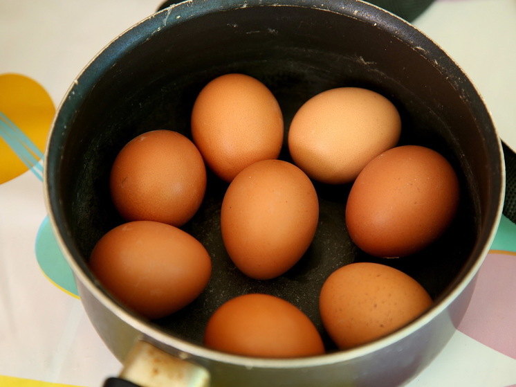 Белоруссия готова поставить РФ излишки куриных яиц