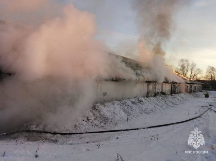 В Башкирии пожар уничтожил здание на ферме