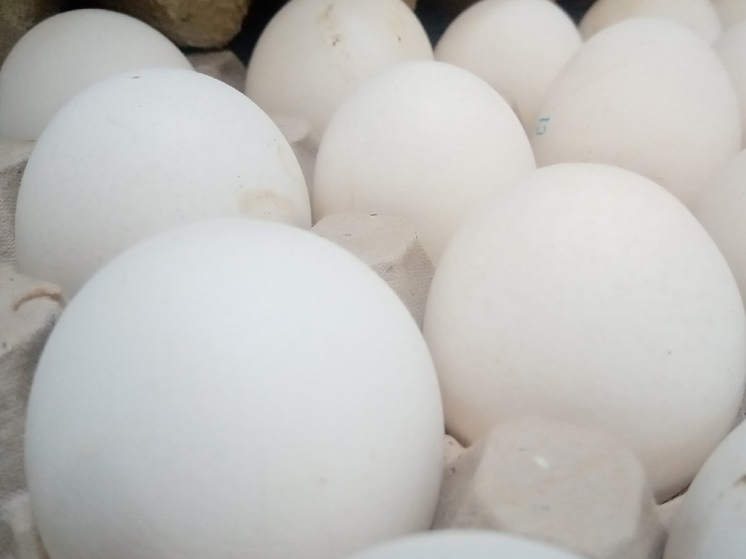 В Новосибирске цены на яйца выросли из-за желания производителей заработать