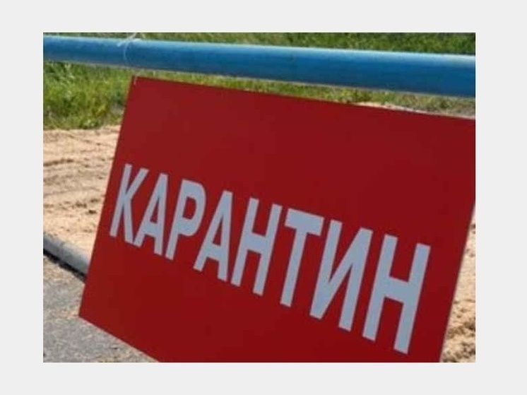 Смоленские школы закрыты на карантин