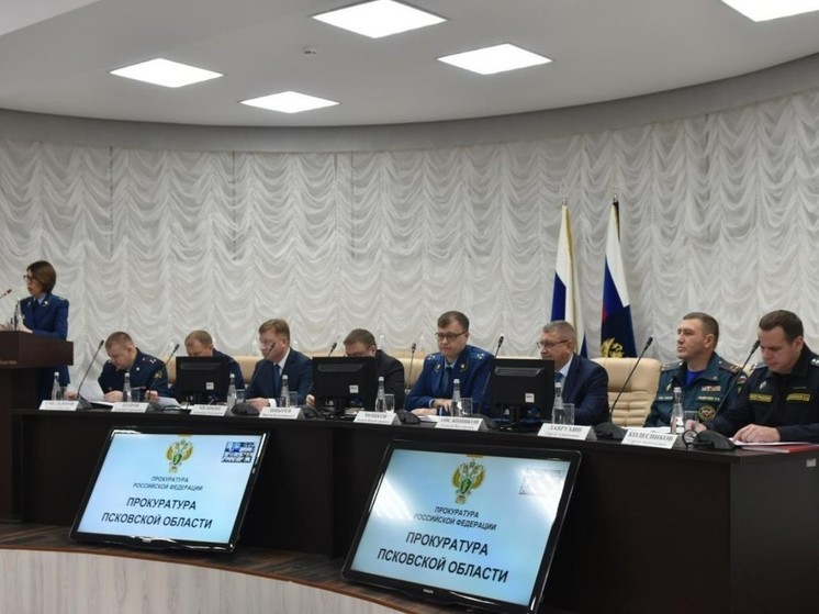 Работу по поиску поджигателей лесов раскритиковали в Псковской области