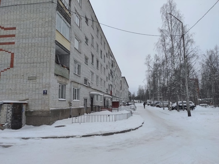 Более двадцати жителей Петрозаводска пожаловались на неубранные дворы