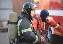 Из-за пожара в доме на Бумажной эвакуировали 50 человек. Там загорелась трехкомнатная квартира, сообщили в пресс-службе ГУ МЧС по Петербургу.