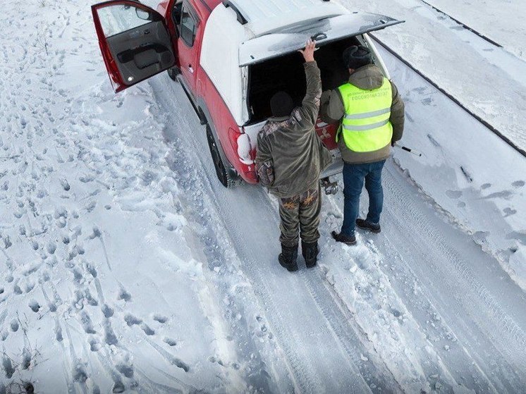 В Омской области из-за миграции косуль на них открыли охоты браконьеры
