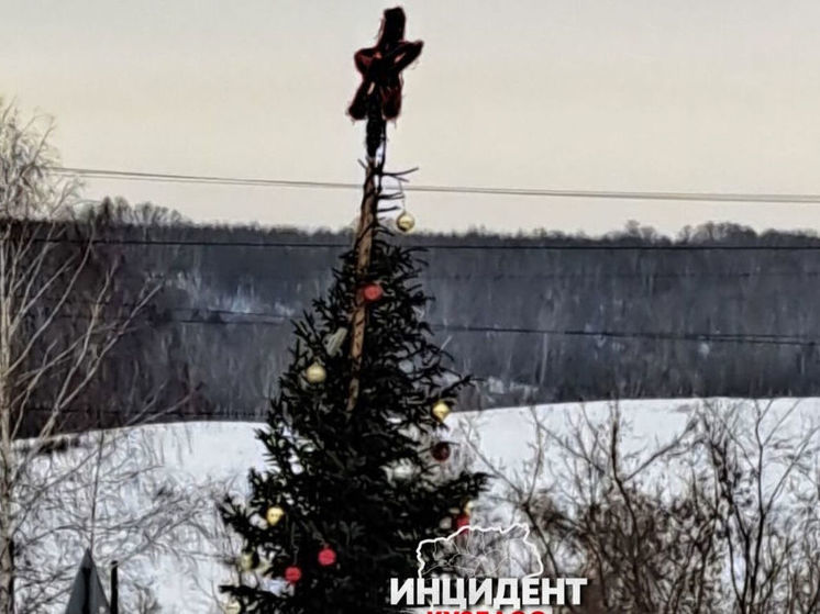 Новогодняя елка разочаровала новокузнечан