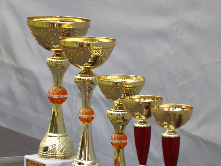 Новгородские акробаты завоевали шесть золотых наград на «Никольских пируэтах»