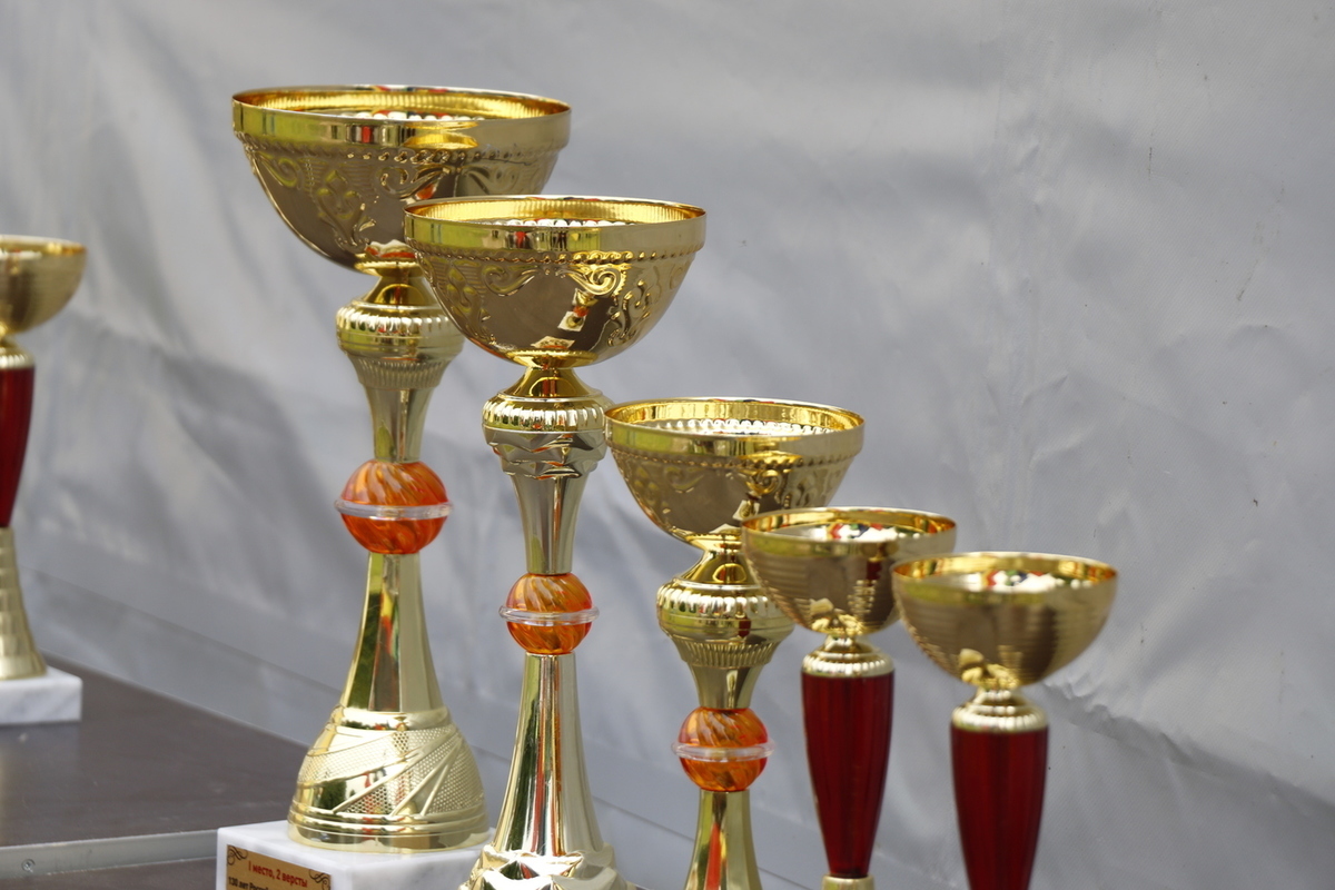 Novgorod acrobats won six gold medals at the Nikolsky Pirouettes