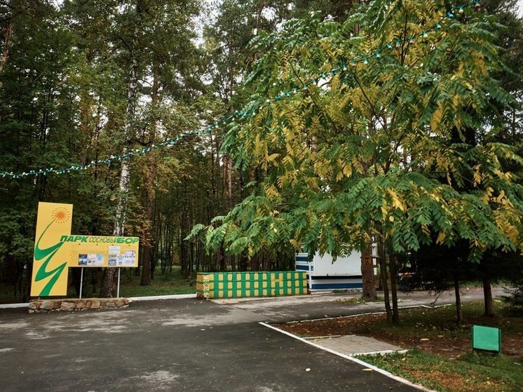 В Новосибирске планируют благоустроить более 100 га Соснового бора