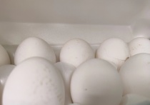 В Оренбурге в одном из торговых центров выстроилась очередь за яйцами
