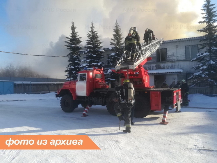 Горящие постройки два часа тушили 12 спасателей в деревне под Всеволожском