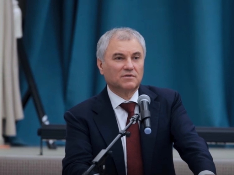 Володин предложил проголосовать за проблемы Кировского района