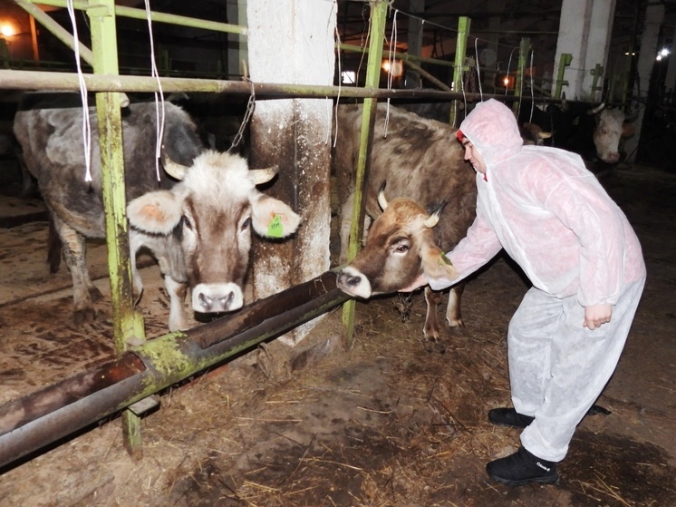 Будущие ветеринары провели открытый урок в Смоленской колонии-поселении №7