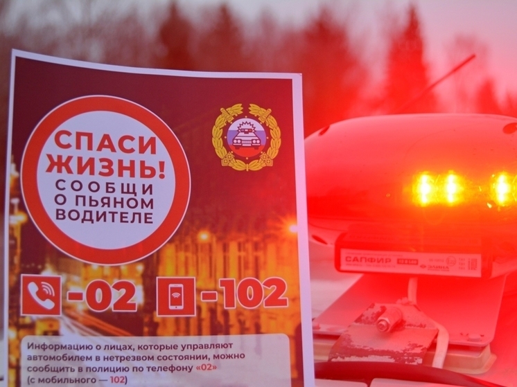 В Демидове пьяный водитель попал под уголовную статью