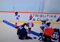 Тренеры московских детских хоккейных команд 2016 года рождения сцепились во время матча