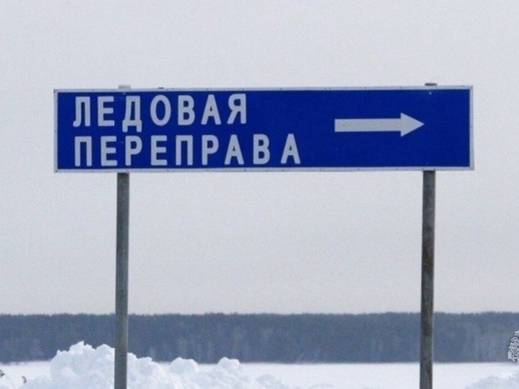 В Алтайском крае заработала первая ледовая переправа через Обь