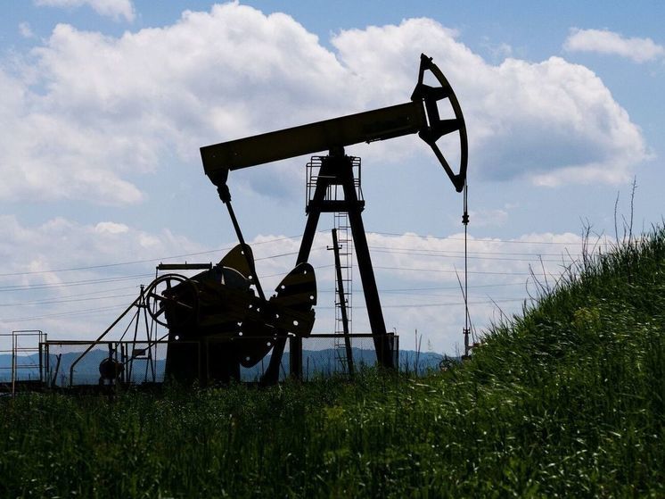 Кишинев решил контролировать месторождения нефти на юге Молдавии