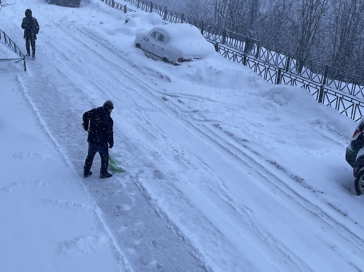 Кольское Заполярье 17 декабря окутают метель и сильный ветер