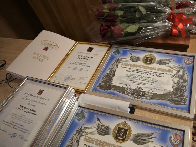 Активных участников проекта «Маскировка Мурманск для СВОих» наградили грамотами