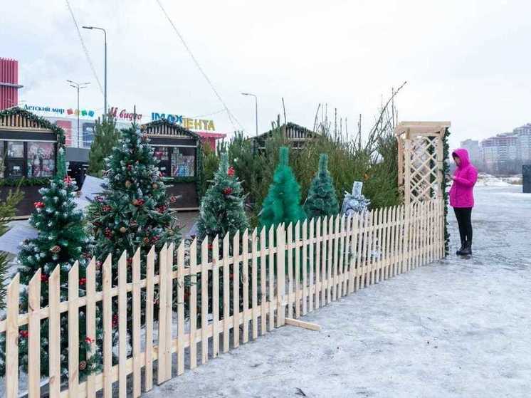 В Липецке не работают елочные базары