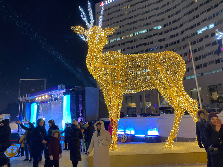 В голосовании за Молодежную столицу Мурманск поддержали более 135 тысяч человек