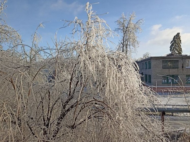 Вице-премьер ДНР прокомментировал ситуацию с электроснабжением в Республике