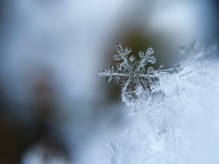 День сворачивания в клубочек и признательности снежинкам: что отметить 18 декабря