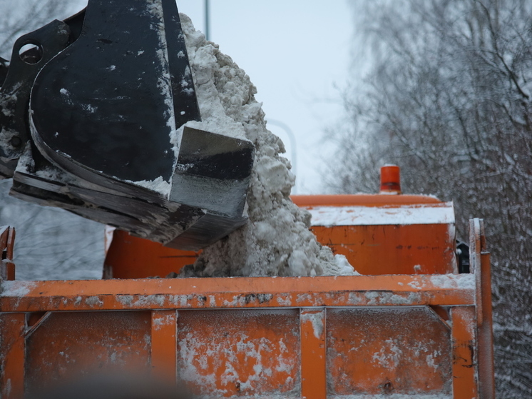 Для жителей Новгородской области проведут прямые эфиры на тему уборки снега