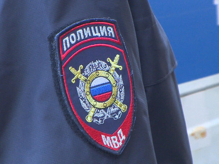 В Смоленске сыщики установили подозреваемого в краже из автомобиля