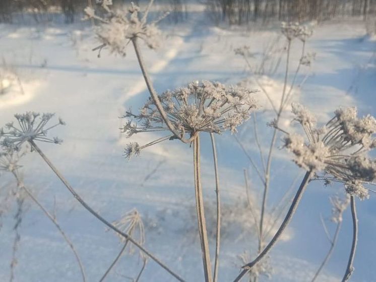 В Подмосковье объявлен «желтый» уровень погодной опасности