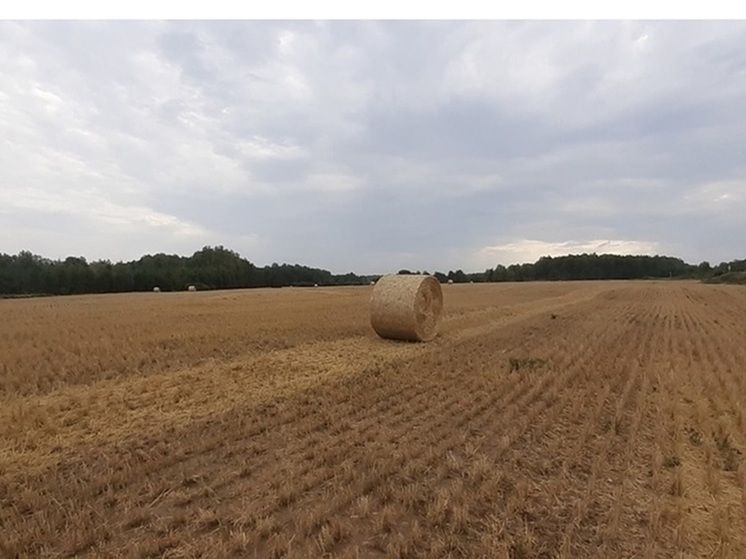 Житель Шумихи, поссорившись со знакомым, пытался поджечь его сено