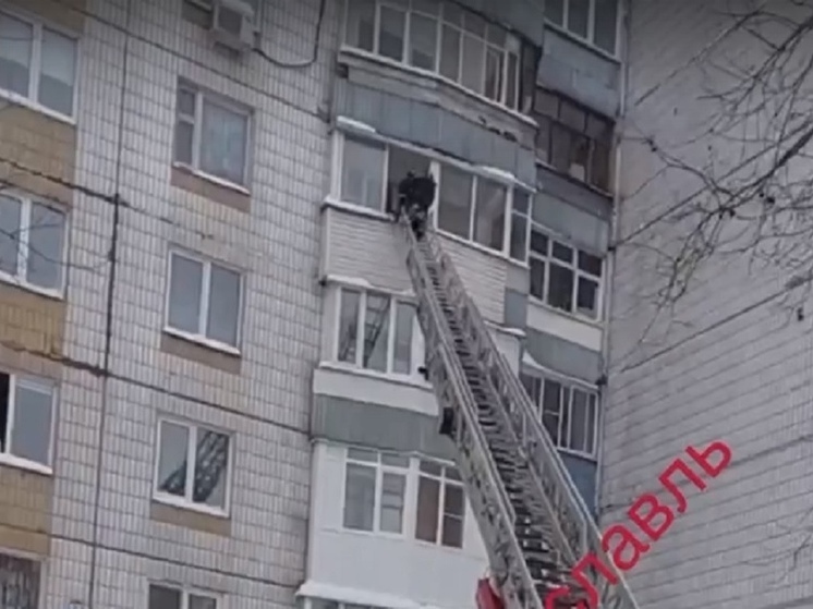 Ярославские пожарные спасли ребенка