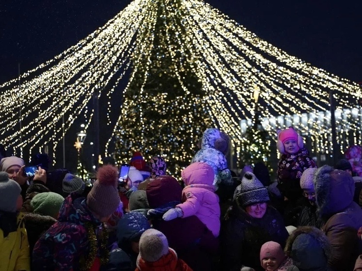 В Архангельске зажгла огни главная городская елка