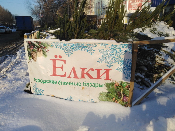 В Саратове стоимость елок начинается от 700 рублей
