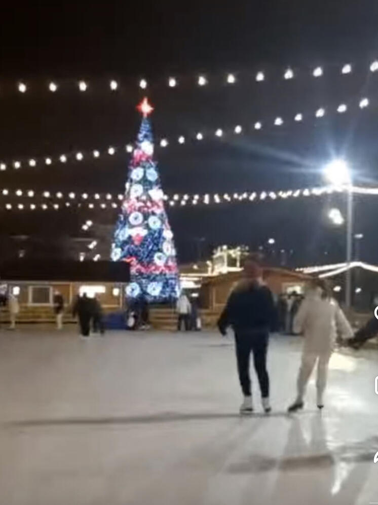 Студенты Смоленского государственного университета спорта побывали на торжественном открытии катка