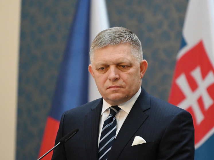 В Словакии заявили, что Запад использует Украину в геополитических целях