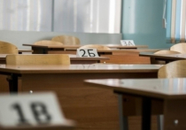 В школах и детсадах Омска свободны 655 вакансий учителей и воспитателей детсадов