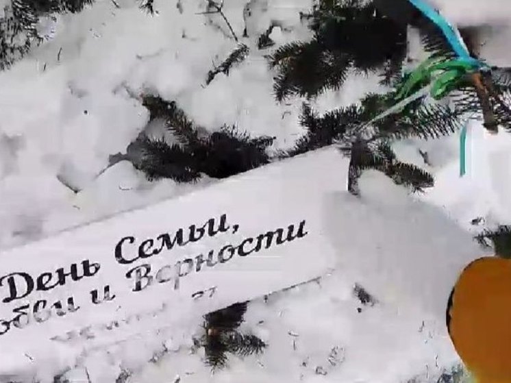 В центре Хабаровске перед Новым годом коммунальщики сломали елки