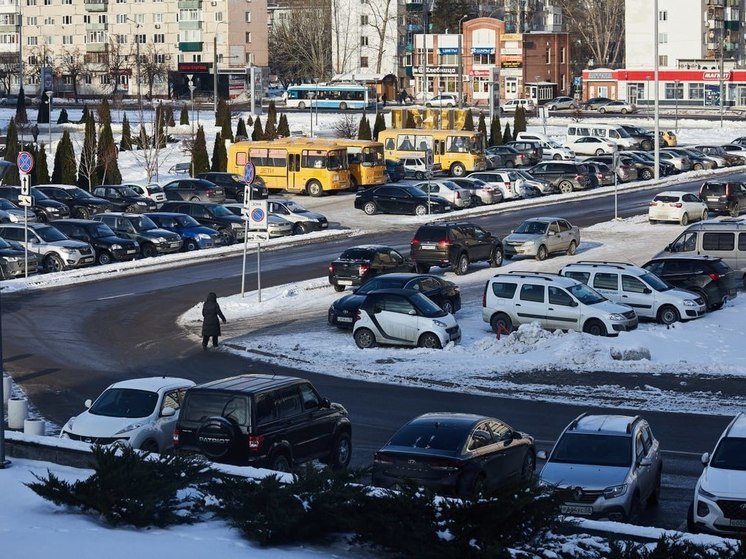 Десятая часть семей Пензенской области может позволить себе купить автомобиль за миллион рублей