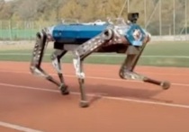 Разработанная инженерами из южнокорейского института KAIST "робособака" попала в книгу рекордов Гиннеса как четвероногий робот, преодолевший дистанцию в 100 метров за самый короткий срок