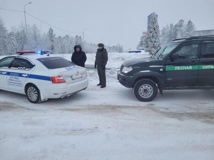 В ЯНАО лесная охрана до Нового года будет ловить «черных лесорубов»