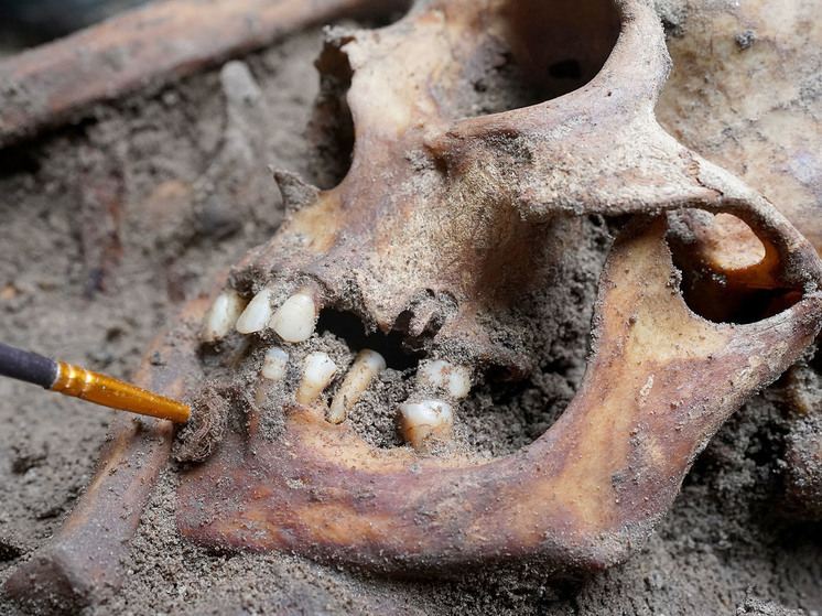 Археологические находки рассказали о продвинутой стоматологии у викингов0