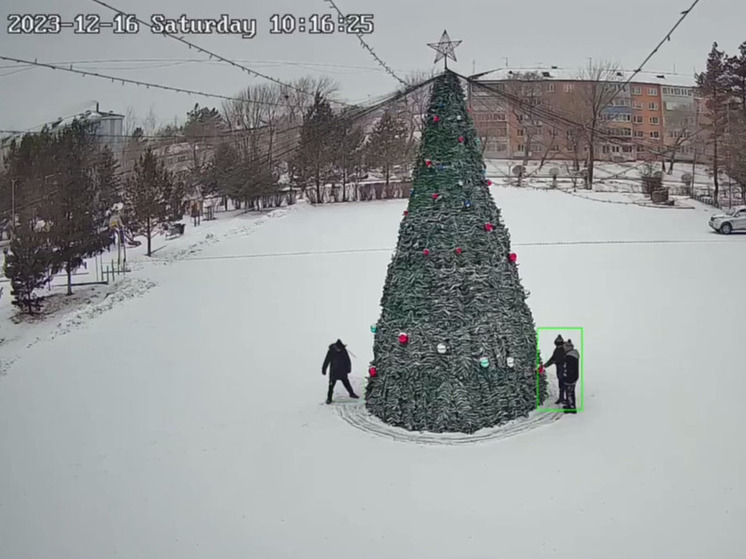 К мэру с родителями: троица школьников обокрала елку в Приморье